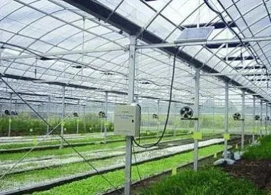 种植全玻璃温室大棚可以怎么设计