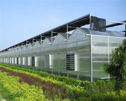 合肥玻璃温室地基的建造